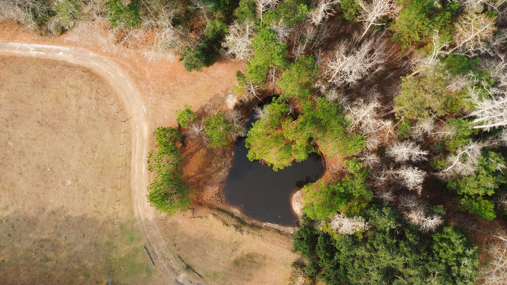 1447 State Rd S-15-28 Walterboro, SC 29488 - Photo 9 of 29 DJI_0526