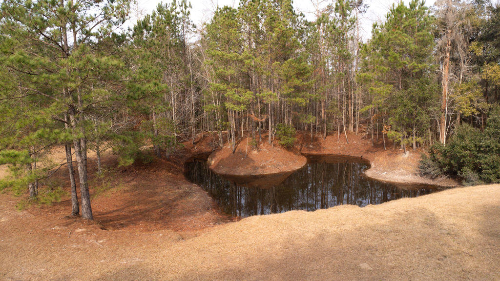 1447 State Rd S-15-28 Walterboro, SC 29488 - Photo 10 of 29 DJI_0532