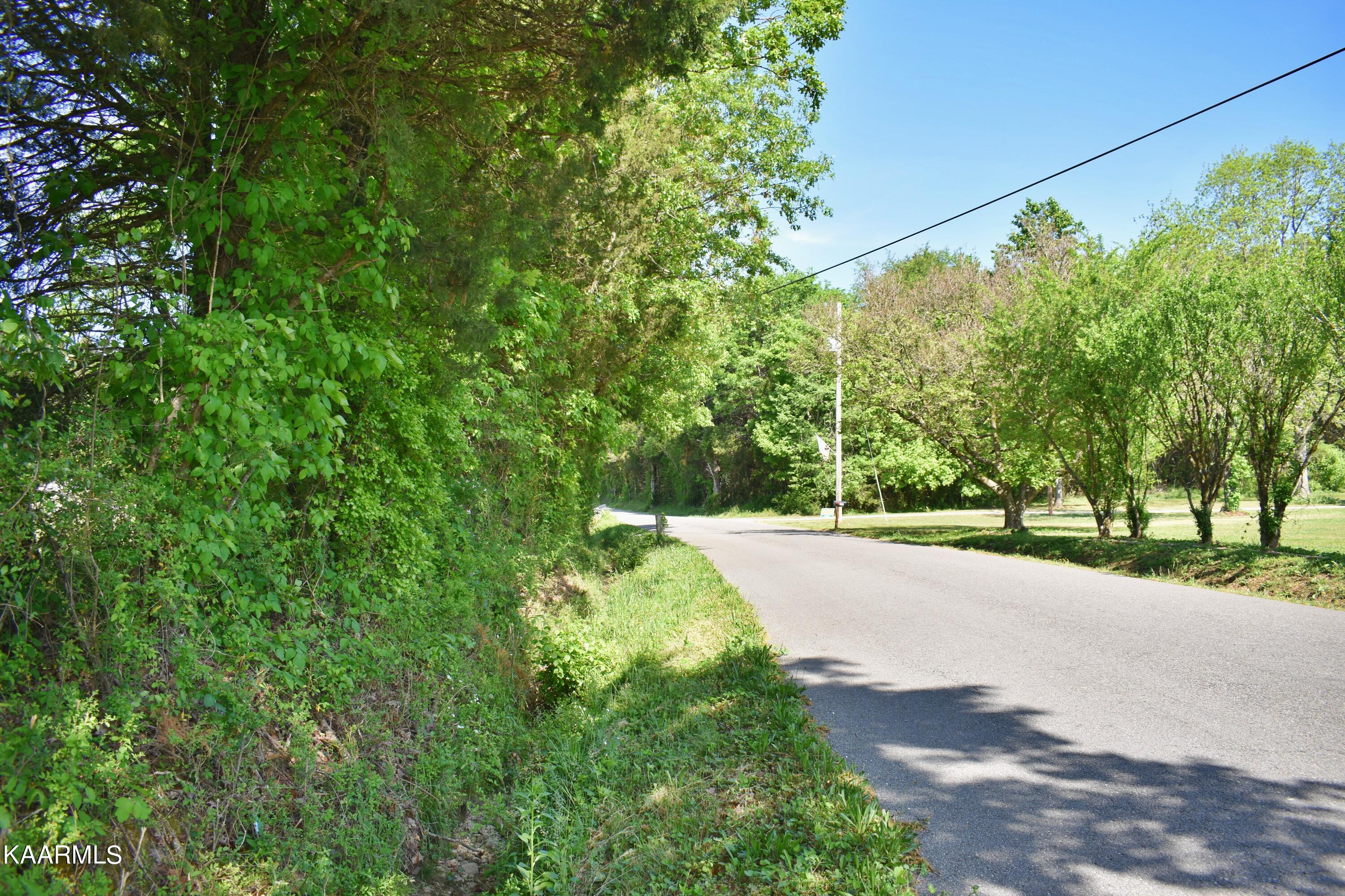 9.9-acres Pin Hook Road Spring City, TN 37381 - Photo 20 of 22 DSC_0782