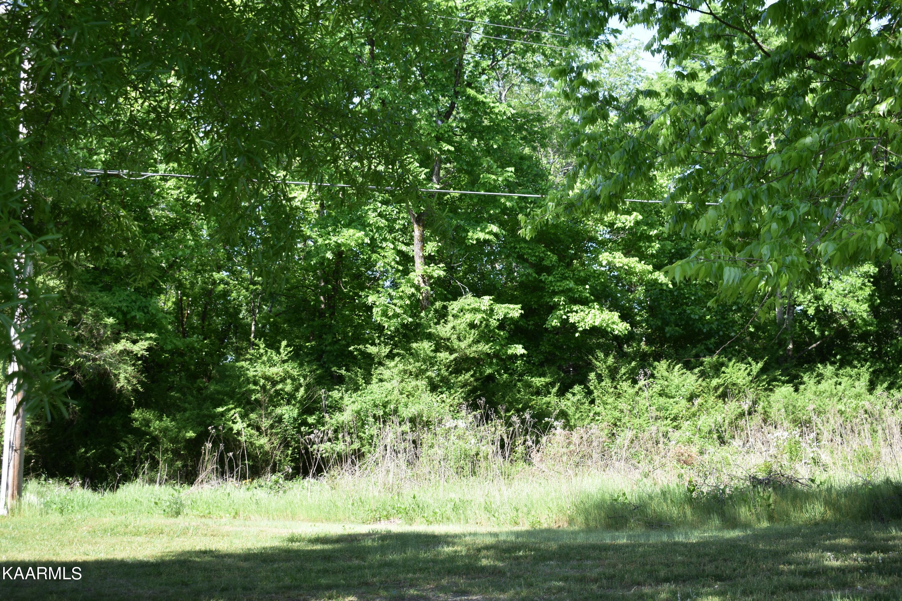 9.9-acres Pin Hook Road Spring City, TN 37381 - Photo 21 of 22 DSC_0787