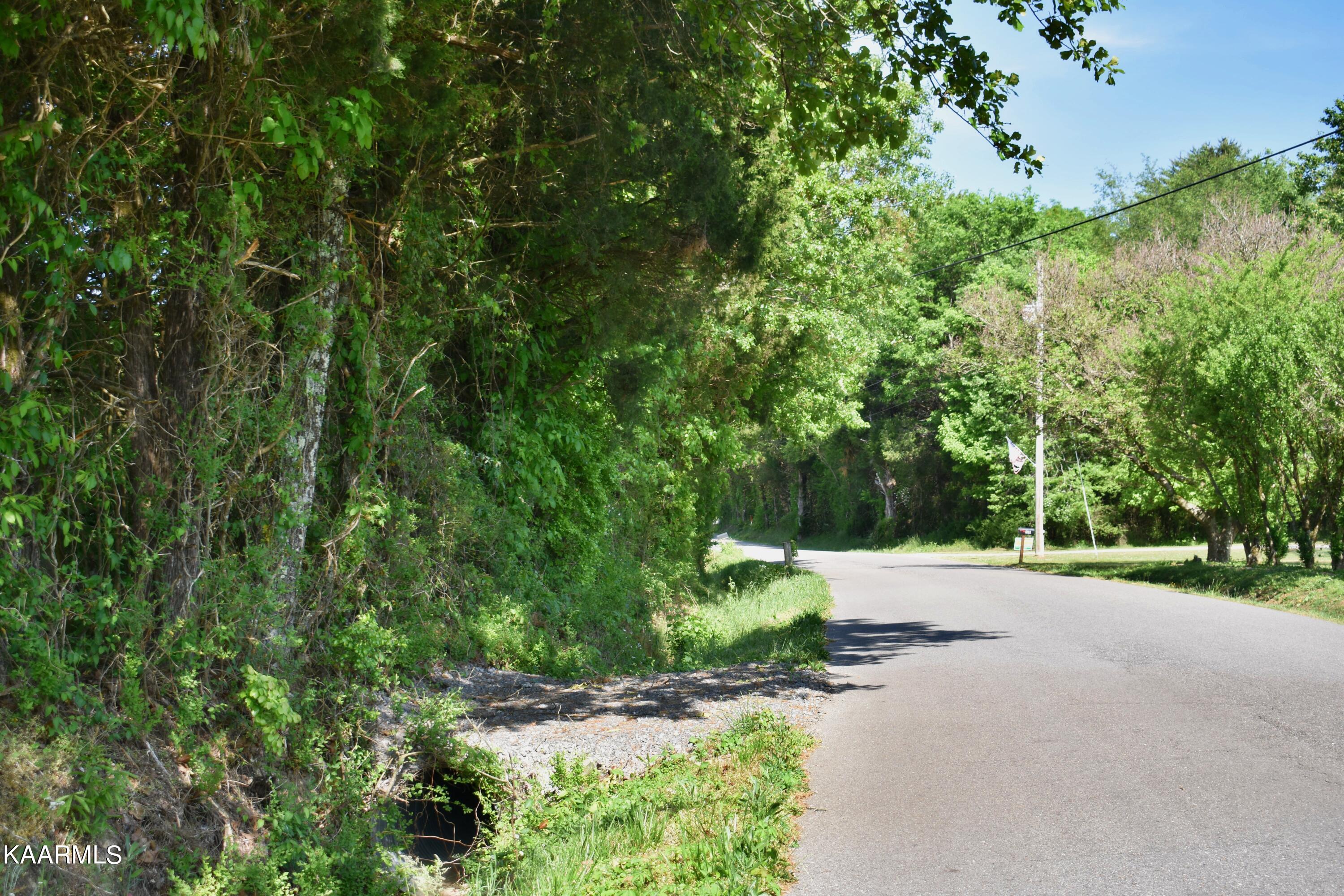 9.9-acres Pin Hook Road Spring City, TN 37381 - Photo 22 of 22 DSC_0789