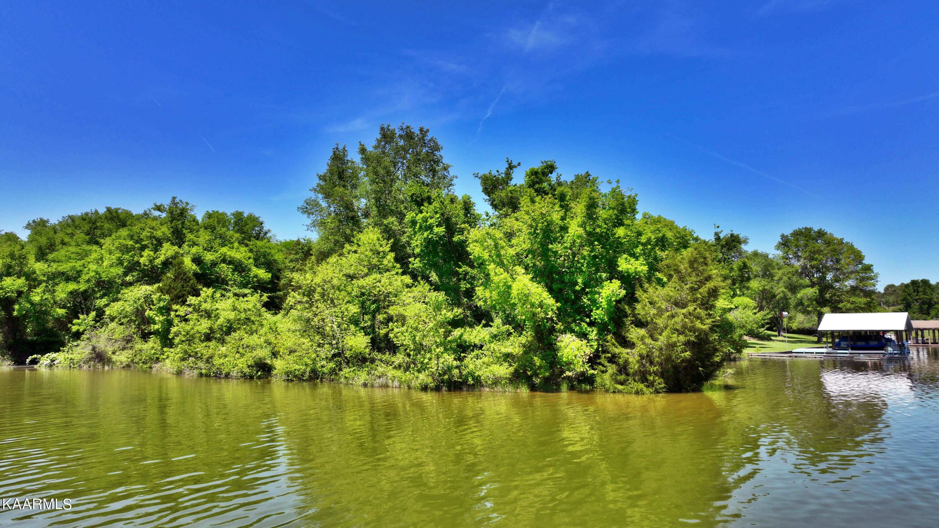 9.9-acres Pin Hook Road Spring City, TN 37381 - Photo 3 of 22 dji_export_1652140597644