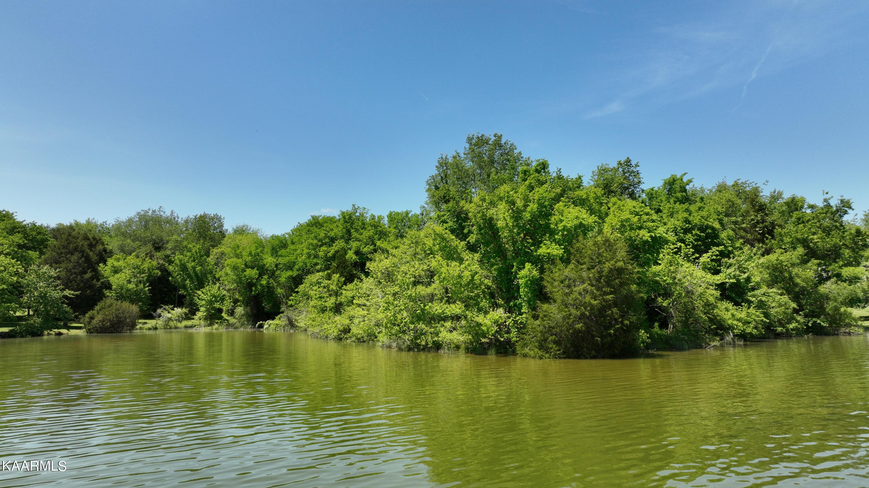 9.9-acres Pin Hook Road Spring City, TN 37381 - Photo 4 of 22 dji_export_1652140597810