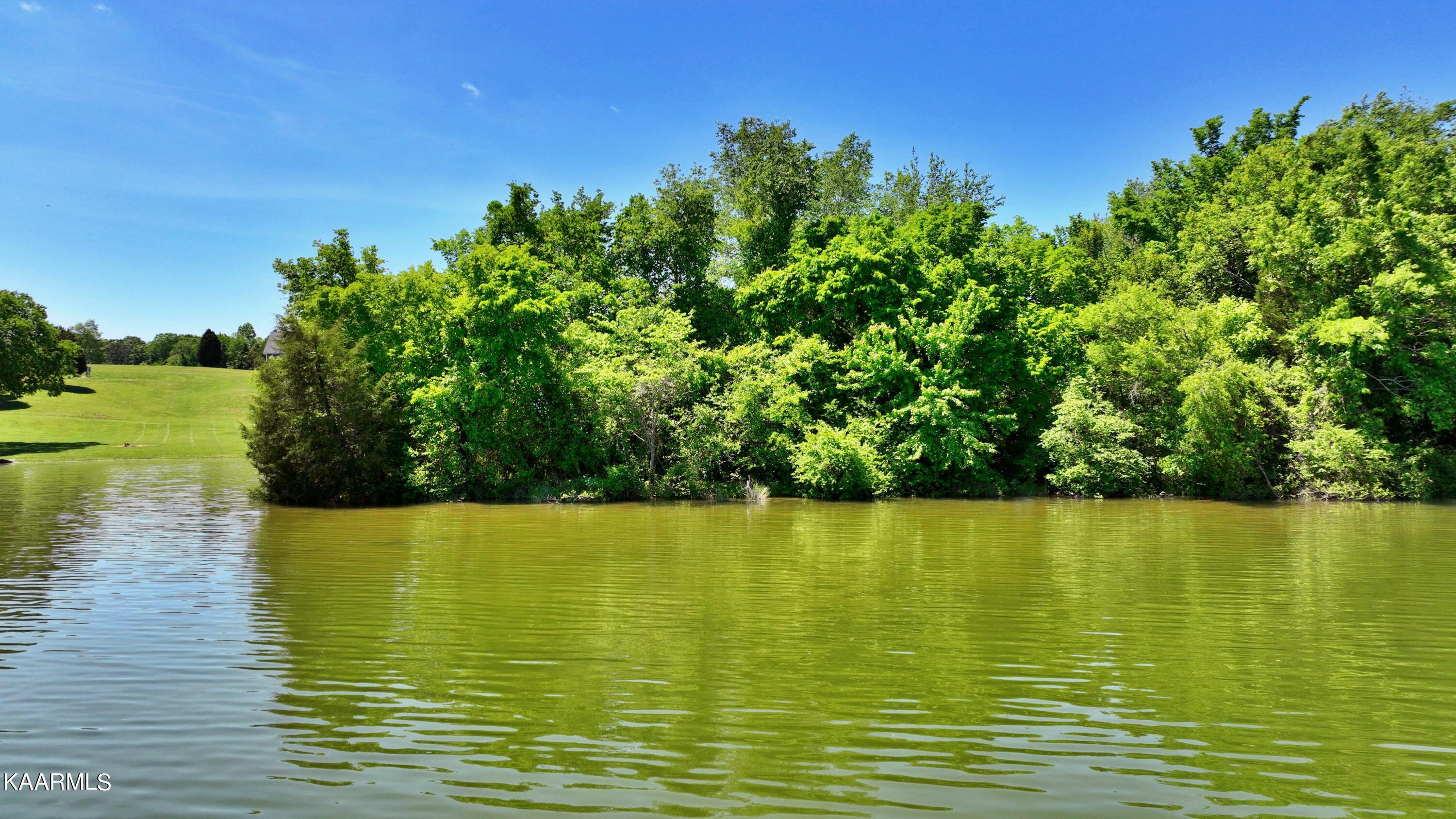 9.9-acres Pin Hook Road Spring City, TN 37381 - Photo 5 of 22 dji_export_1652140598218