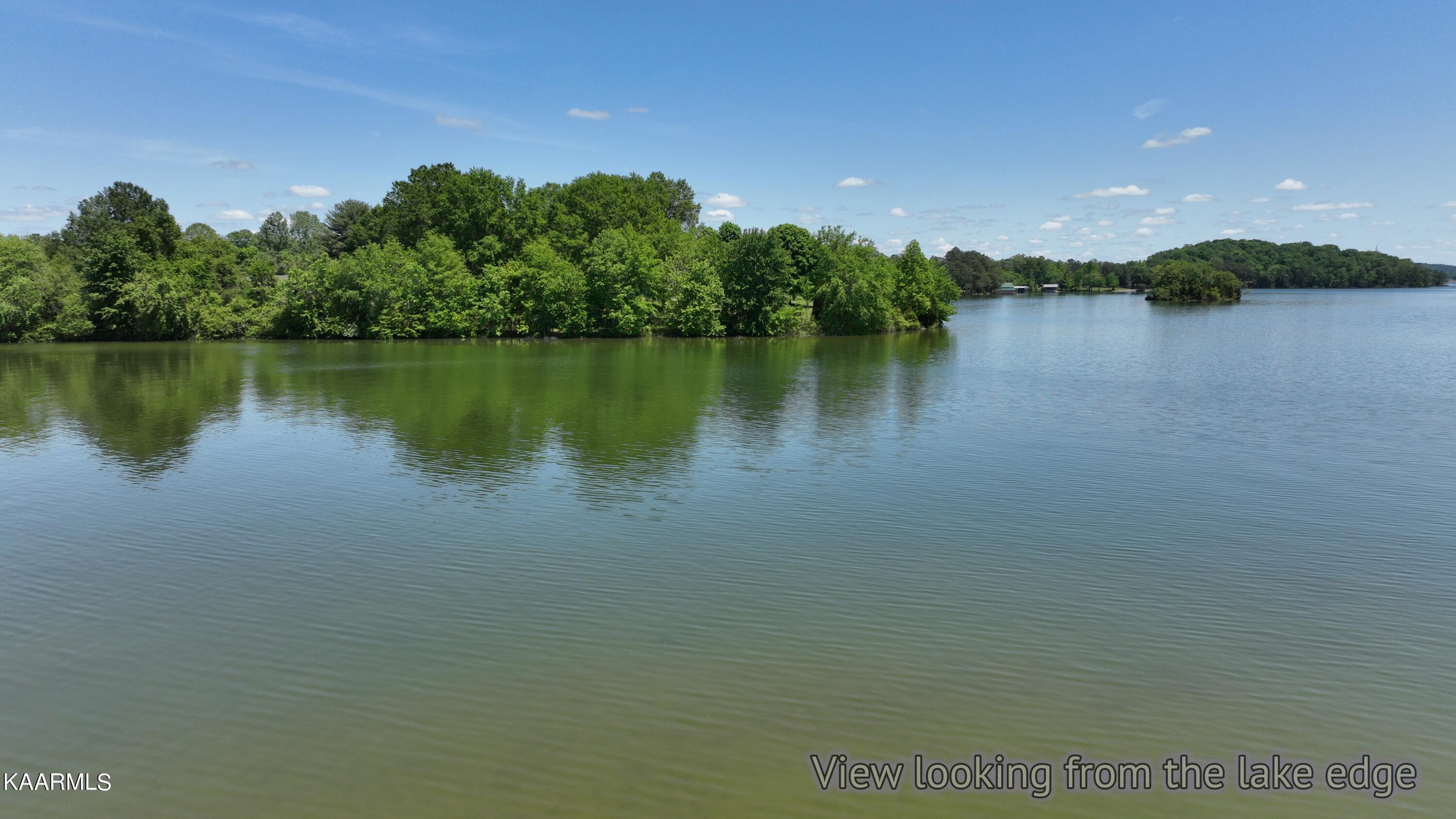 9.9-acres Pin Hook Road Spring City, TN 37381 - Photo 8 of 22 dji_export_1652140599960