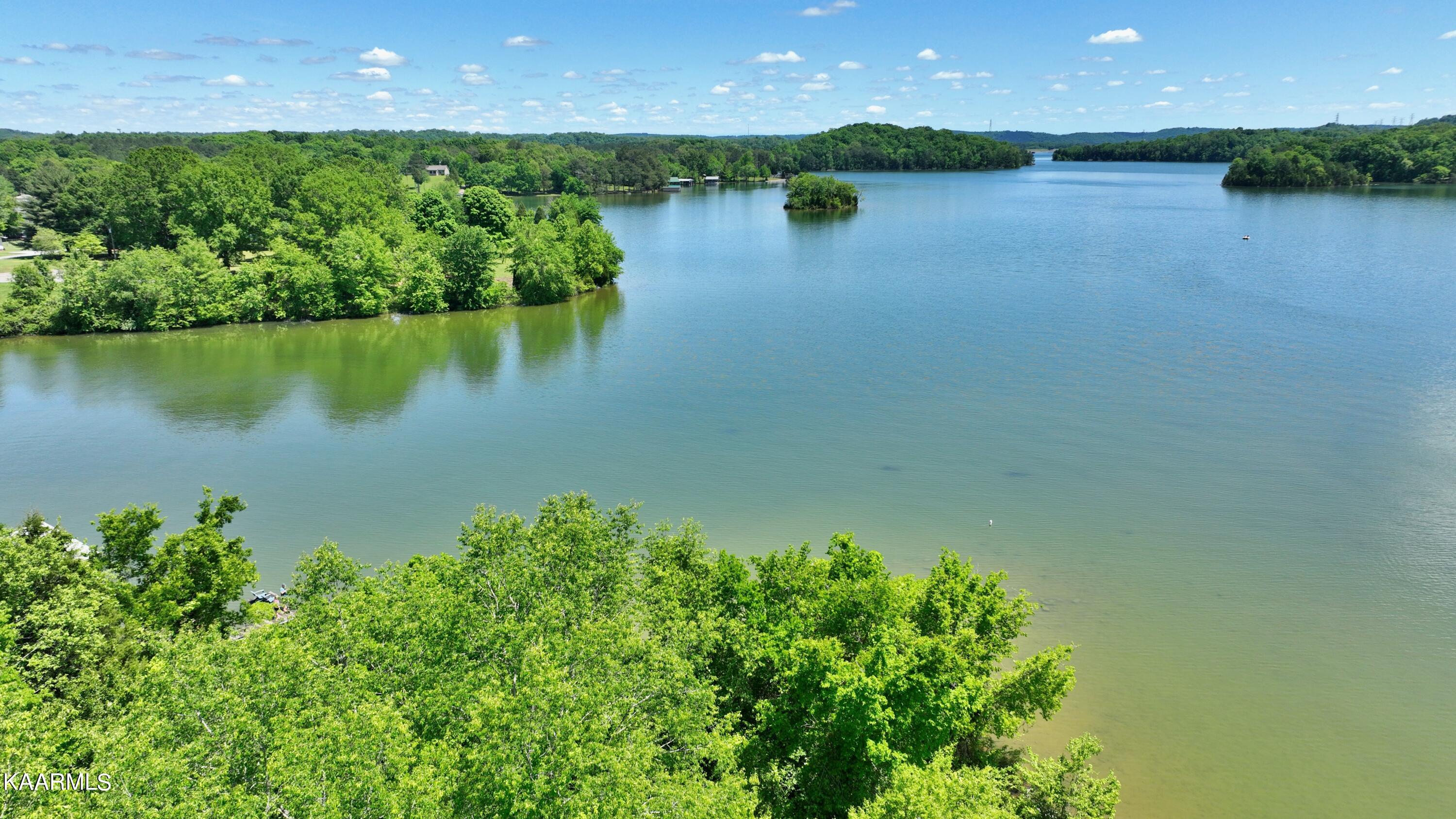 9.9-acres Pin Hook Road Spring City, TN 37381 - Photo 9 of 22 dji_export_1652140600305
