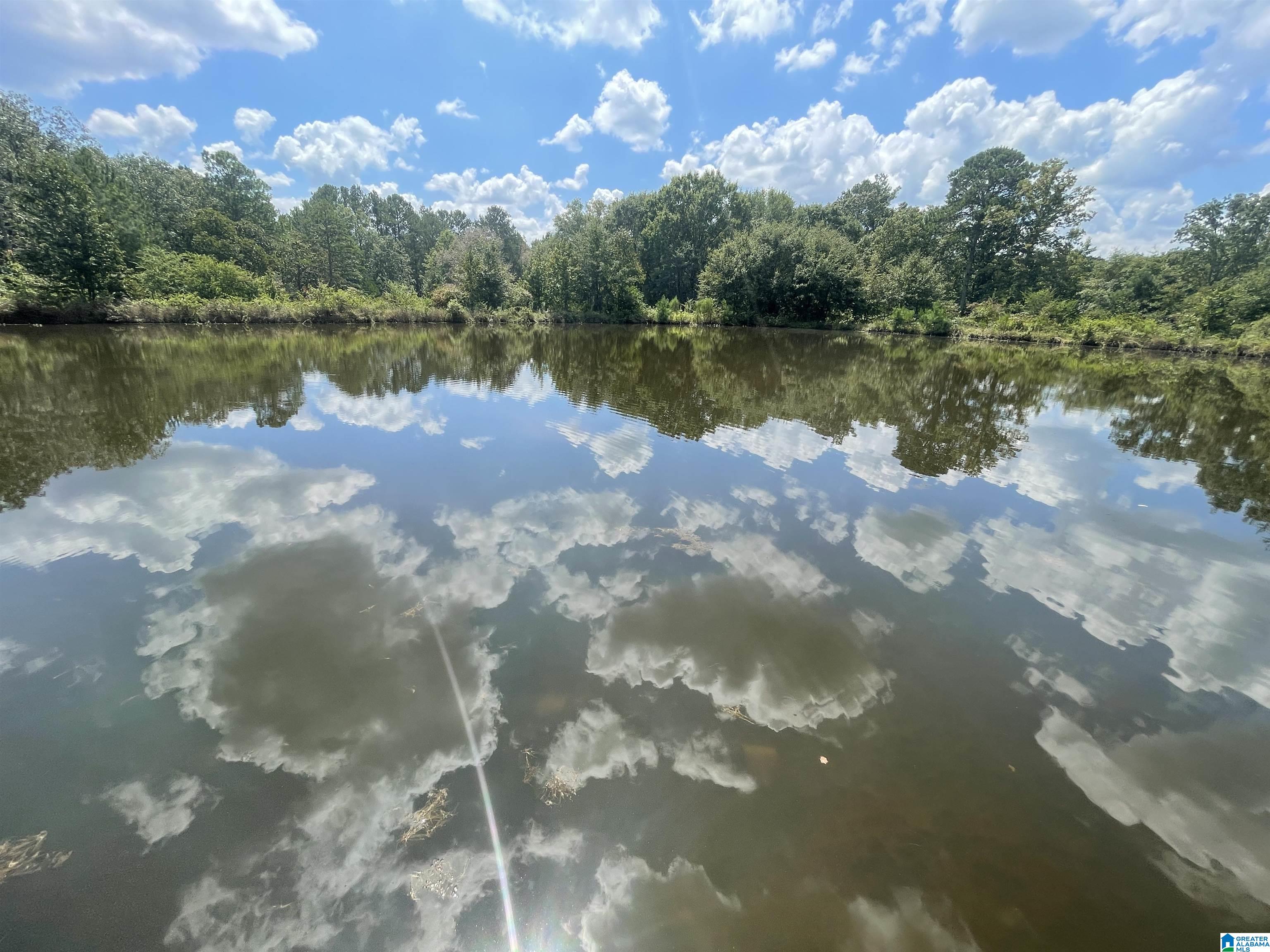10505 County Road 59 Centre, AL 35960 - Photo 9 of 19