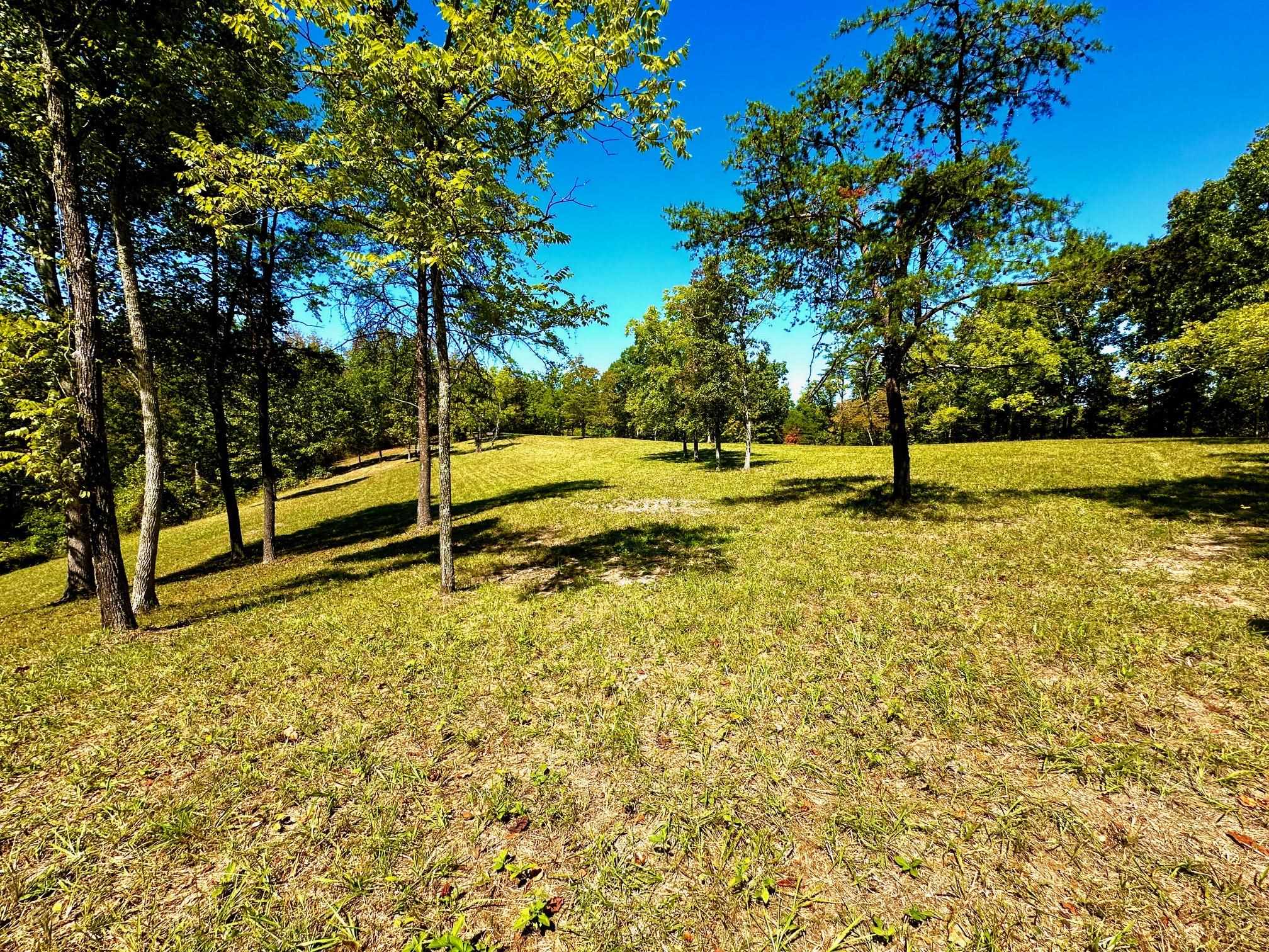 0 Clay Jack Road Rush, KY 41168 - Photo 3 of 14 Gallery Image 3