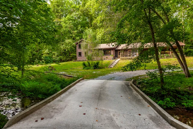 a view of a garden with a plants and trees