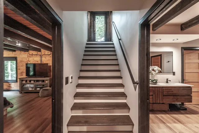 a view of a park with large trees