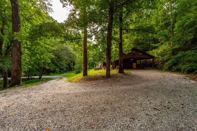a view of outdoor space with deck and tree