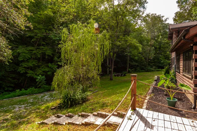 a view of a field with a tree