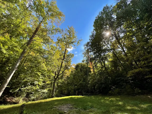 a view of backyard space
