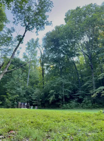 a view of a fire pit with large trees