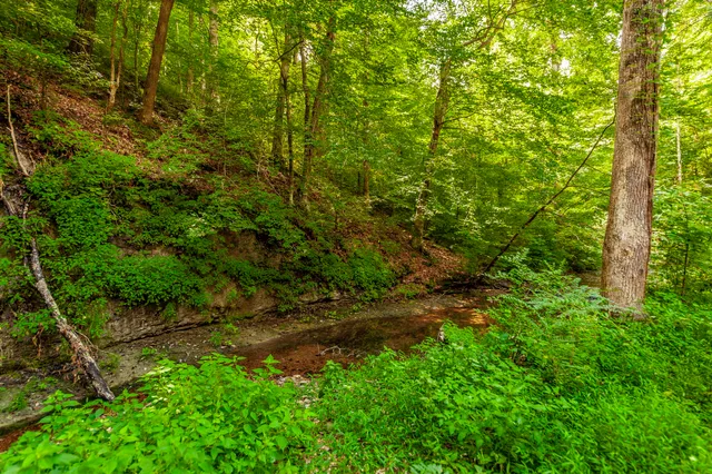 $1,000,000 | 4341 Bernard Road, Joelton, TN 37080