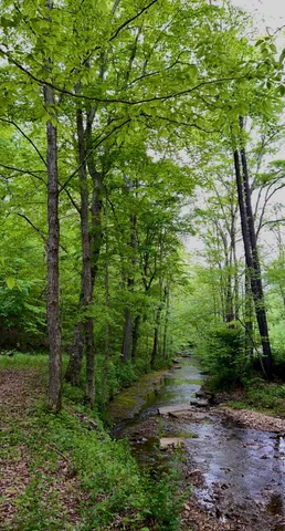 $1,000,000 | 4341 Bernard Road, Joelton, TN 37080