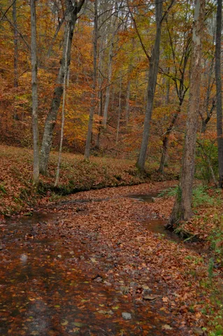 $1,000,000 | 4341 Bernard Road, Joelton, TN 37080