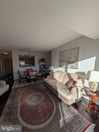 a living room with furniture or couch and a rug