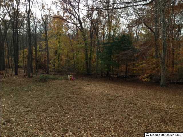 50 White Oak Ridge Road Lincroft, NJ 07738 - Photo 18 of 19 Additional Photo