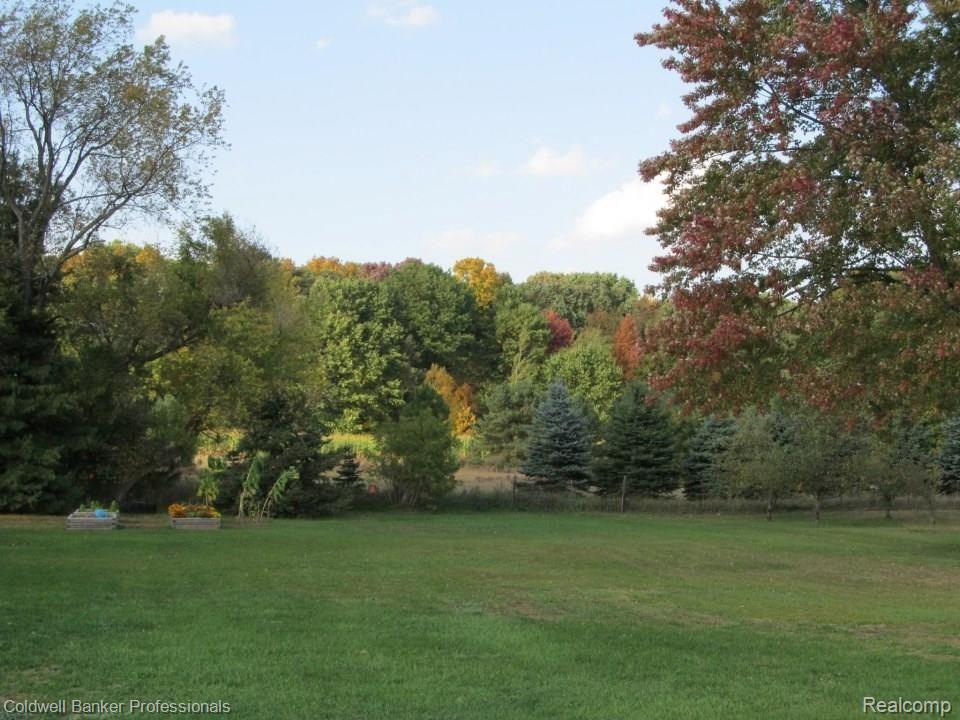 10067 East Mt Morris Road Davison, MI 48423 - Photo 13 of 17 Back yard Fall.jpg