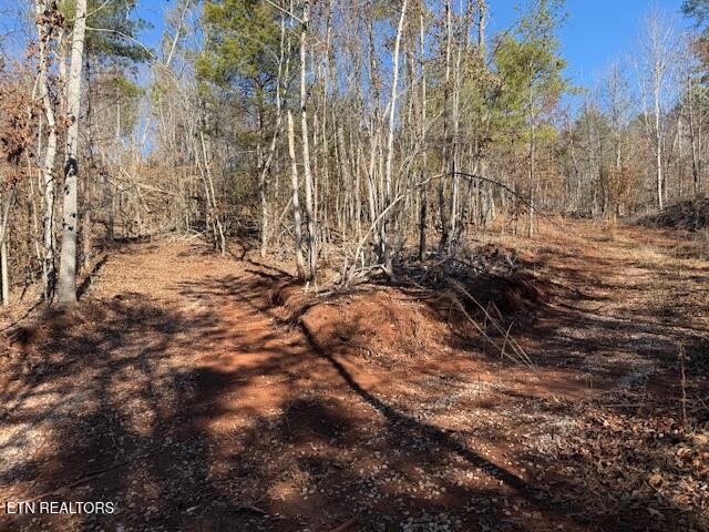 Lot 4 Sweetwater Vonore Road Sweetwater, TN 37874 - Photo 4 of 6 IMG_1052