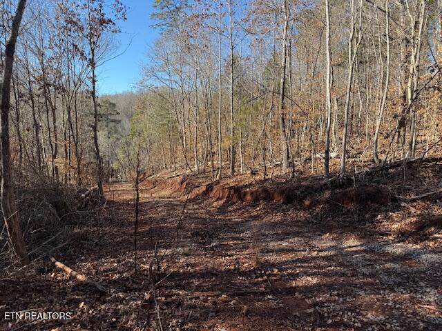 Lot 4 Sweetwater Vonore Road Sweetwater, TN 37874 - Photo 5 of 6 IMG_1053