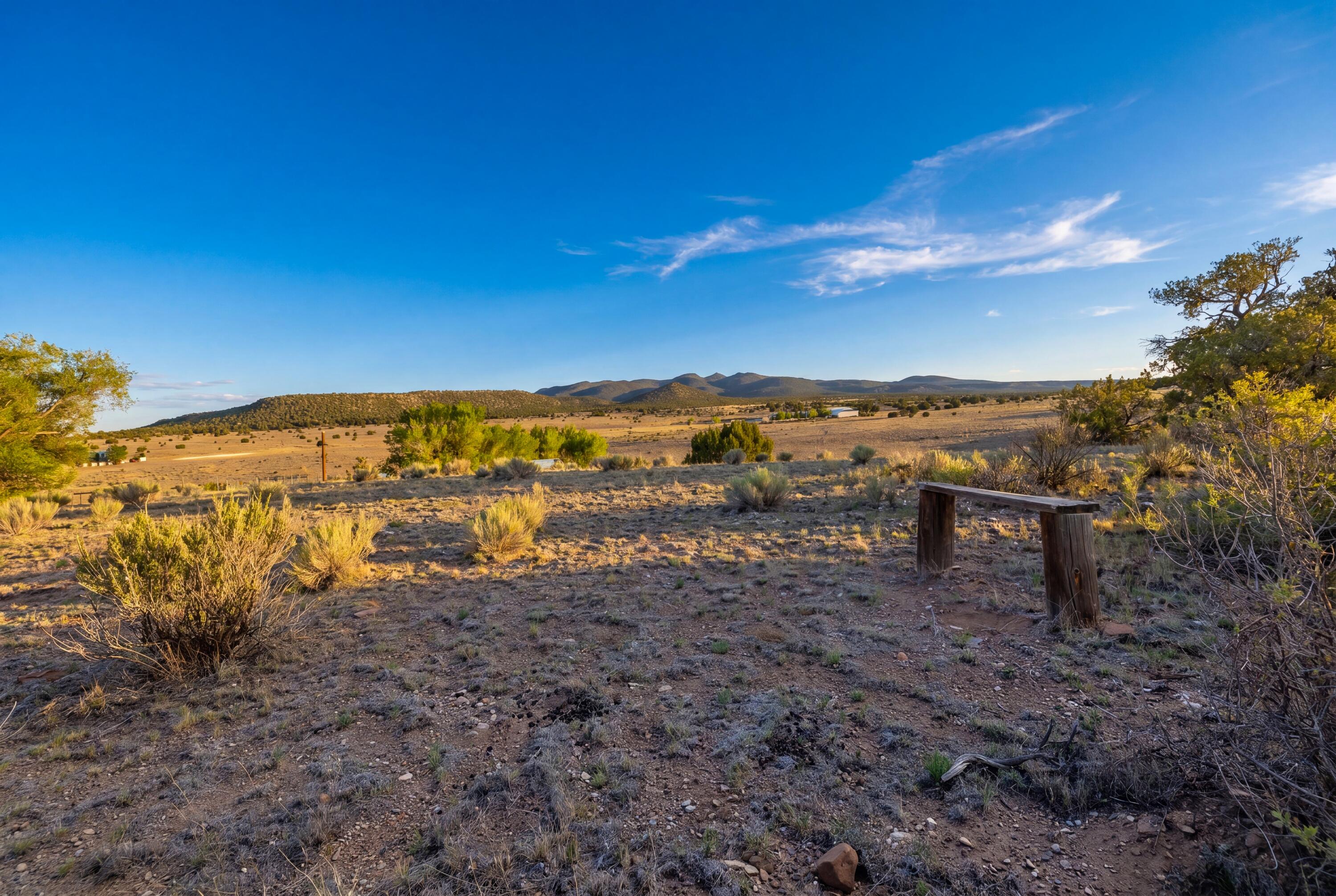 116 Thomas Ranch Road Datil, NM 87821 - Photo 43 of 45 Gallery Image 43