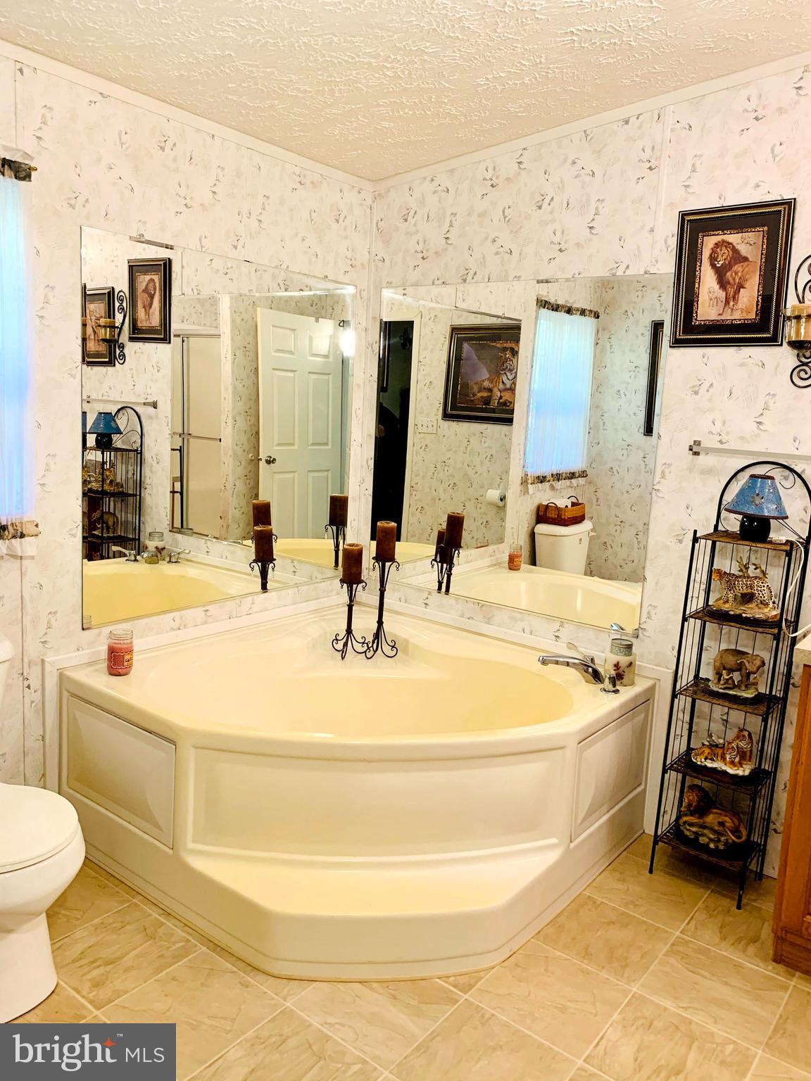 150 Barkmill Road Airville, PA 17302 - Photo 44 of 51 SOAKING TUB