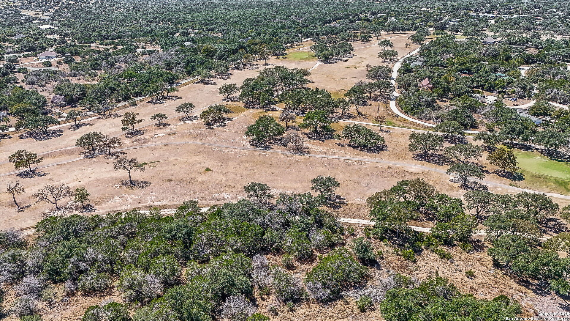 165 Fore Drive Spring Branch, TX 78070 - Photo 3 of 7 a view of a yard with a tree