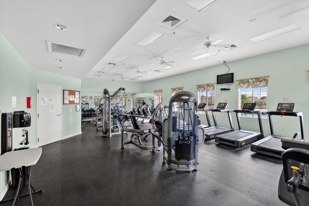 3951 Kennebunk Loop Mount Dora, FL 32757 - Photo 49 of 51 a view of a room with gym equipment