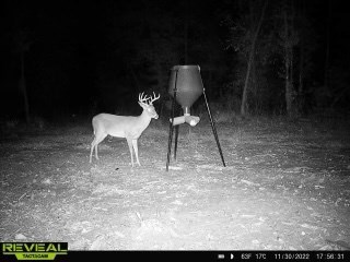 3-acres Singletary Road Slocomb, AL 36375 - Photo 13 of 15