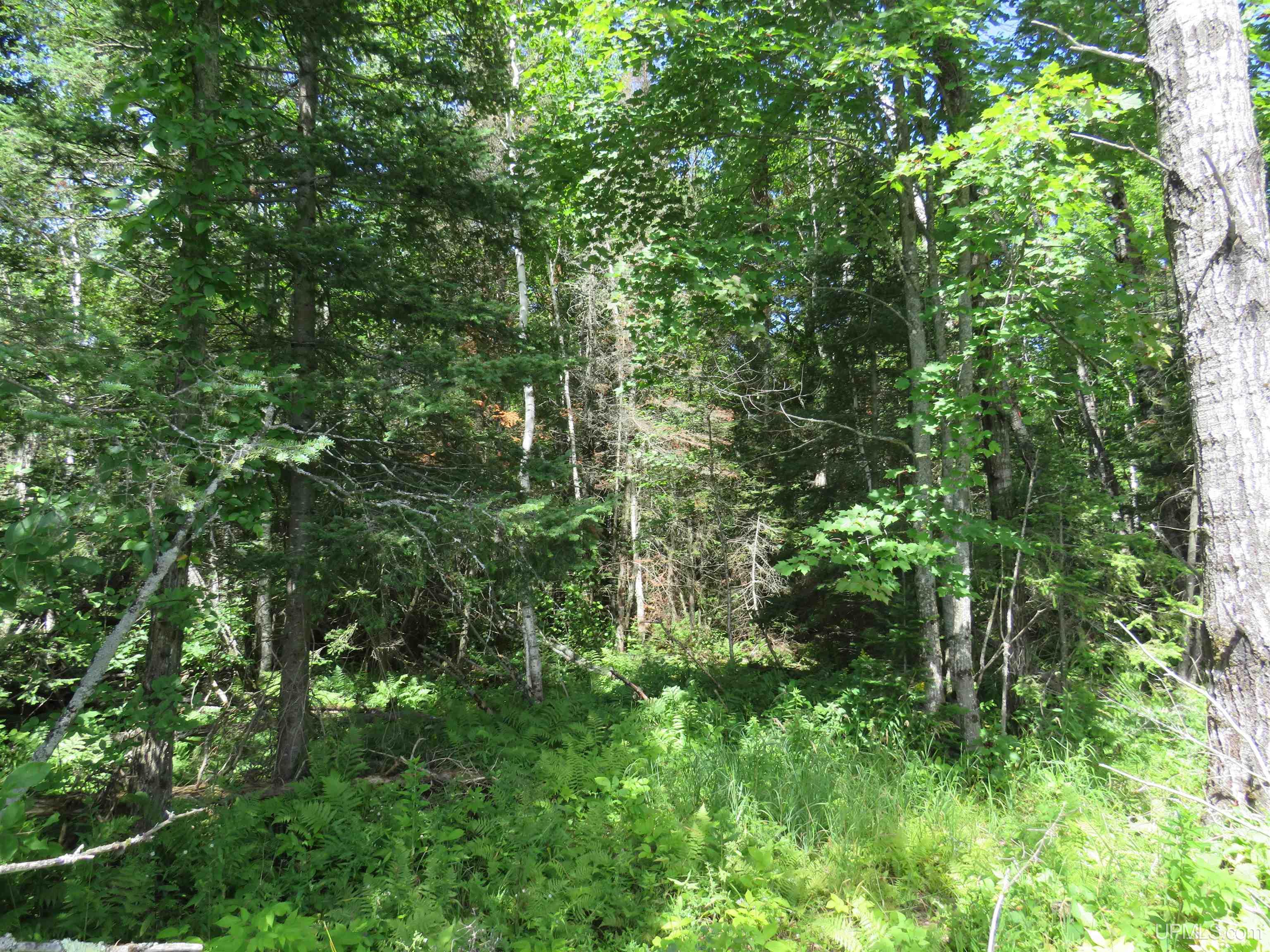 Tbd West Korpi Road, Unit ACROSS FROM 26217 KORPI R Watton, MI 49970 - Photo 14 of 40