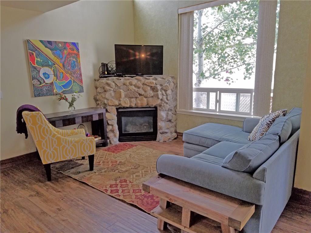 726 Alpine Road Dillon, CO 80435 - Photo 2 of 24 Gallery Image 2