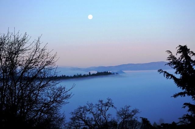 Sometimes we have fog...but not at this home