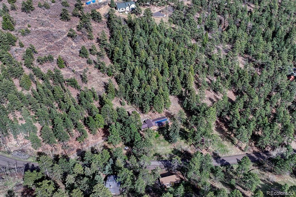 9088 South Murphy Gulch Road Littleton, CO 80127 - Photo 21 of 50 a view of a lush green forest