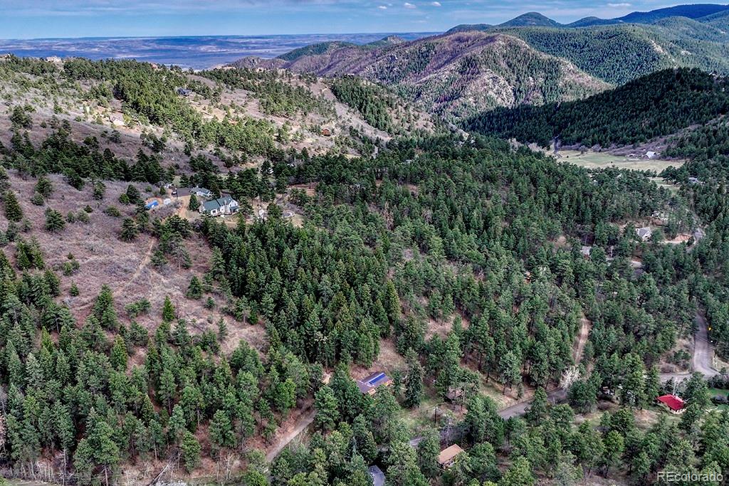 9088 South Murphy Gulch Road Littleton, CO 80127 - Photo 22 of 50 a view of a forest with a street