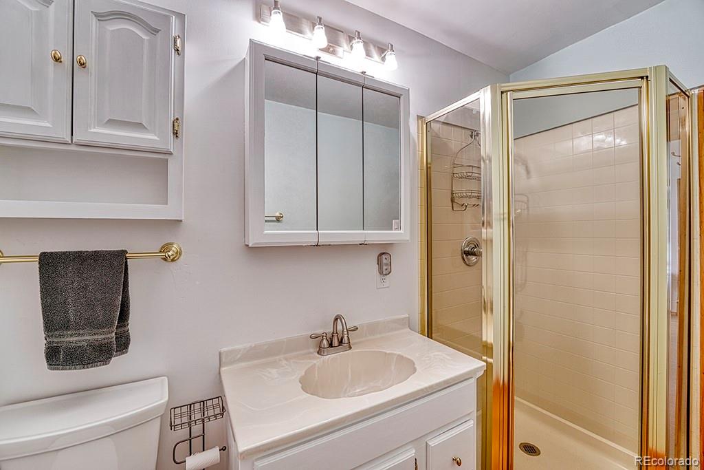 9088 South Murphy Gulch Road Littleton, CO 80127 - Photo 49 of 50 a bathroom with a sink toilet and shower