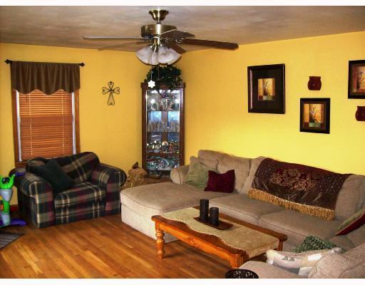 134 Baldwin Road Carnegie, PA 15106 - Photo 2 of 8 Living Room.