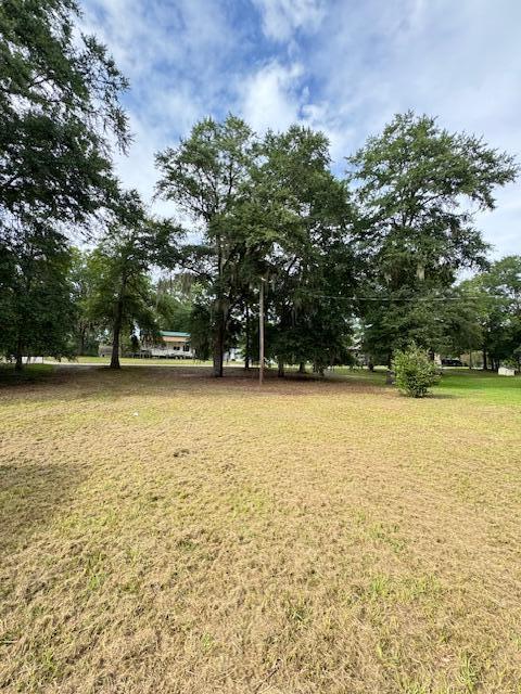 1929 Princess Pond Road Summerton, SC 29148 - Photo 2 of 10 IMG_6804