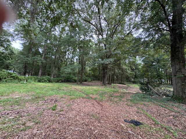 1929 Princess Pond Road Summerton, SC 29148 - Photo 3 of 10 IMG_6803