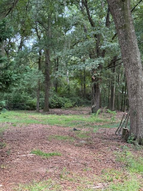 1929 Princess Pond Road Summerton, SC 29148 - Photo 4 of 10 IMG_6801