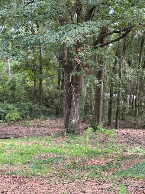 1929 Princess Pond Road Summerton, SC 29148 - Photo 5 of 10 IMG_6802