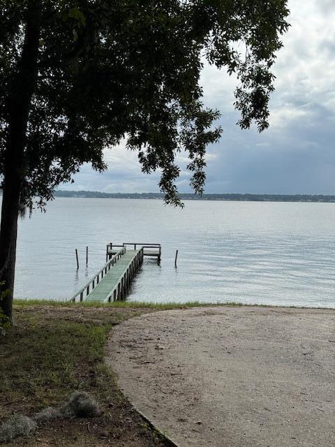 1929 Princess Pond Road Summerton, SC 29148 - Photo 8 of 10 IMG_6808