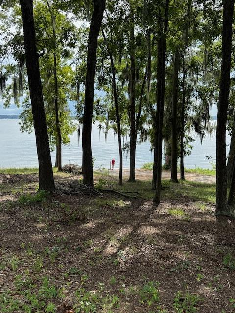 1929 Princess Pond Road Summerton, SC 29148 - Photo 10 of 10 IMG_6807