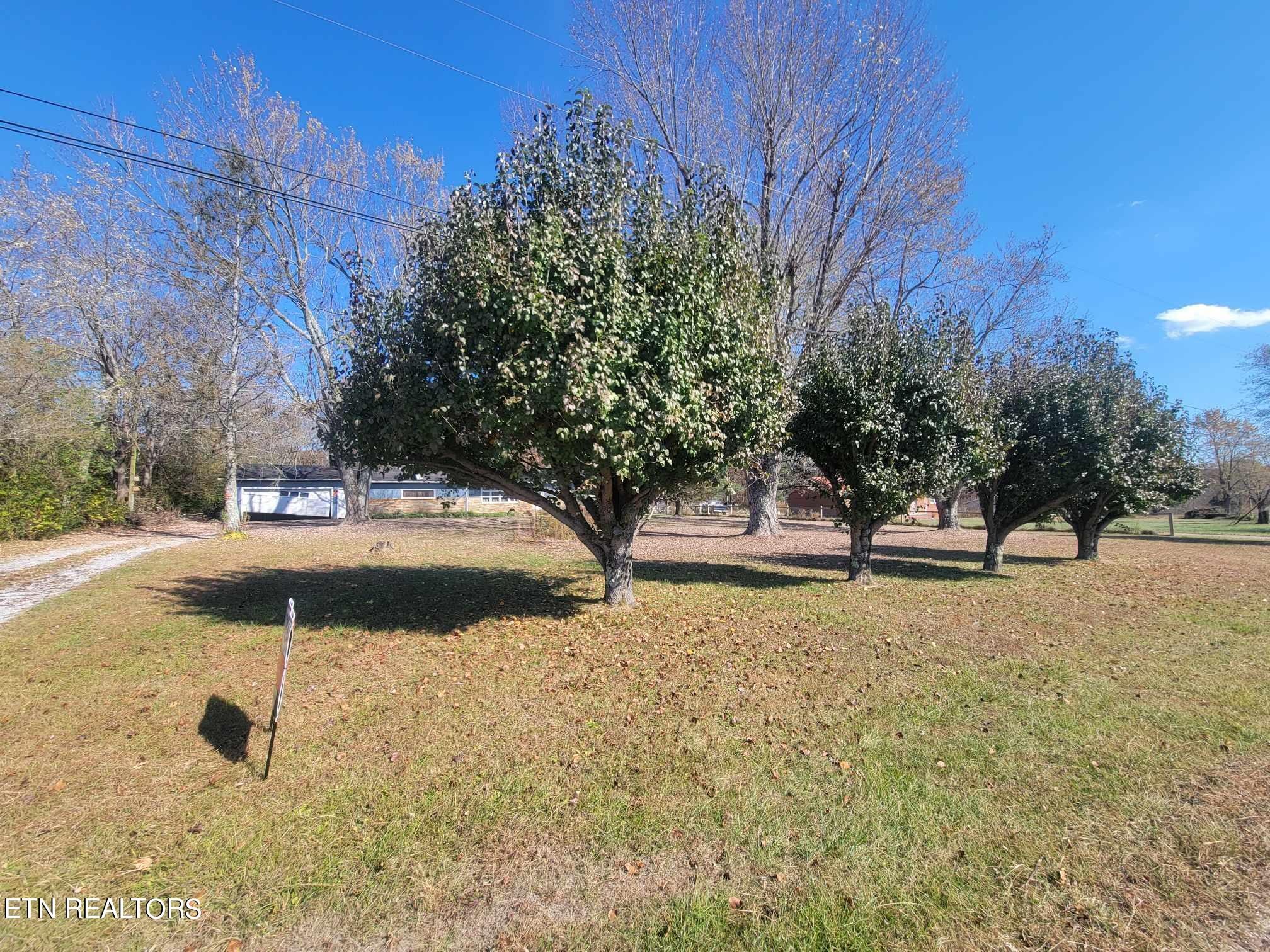 1751 Eldridge Loop Crossville, TN 38571 - Photo 2 of 35 a view of water yard with a tree