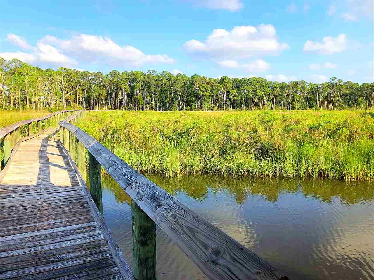 18706 Treasure Oaks Road Gulf Shores, AL 36542 - Photo 15 of 17