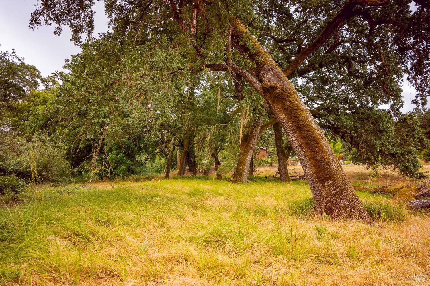 0 Capell Valley Cross Road Napa, CA 94558 - Photo 18 of 34