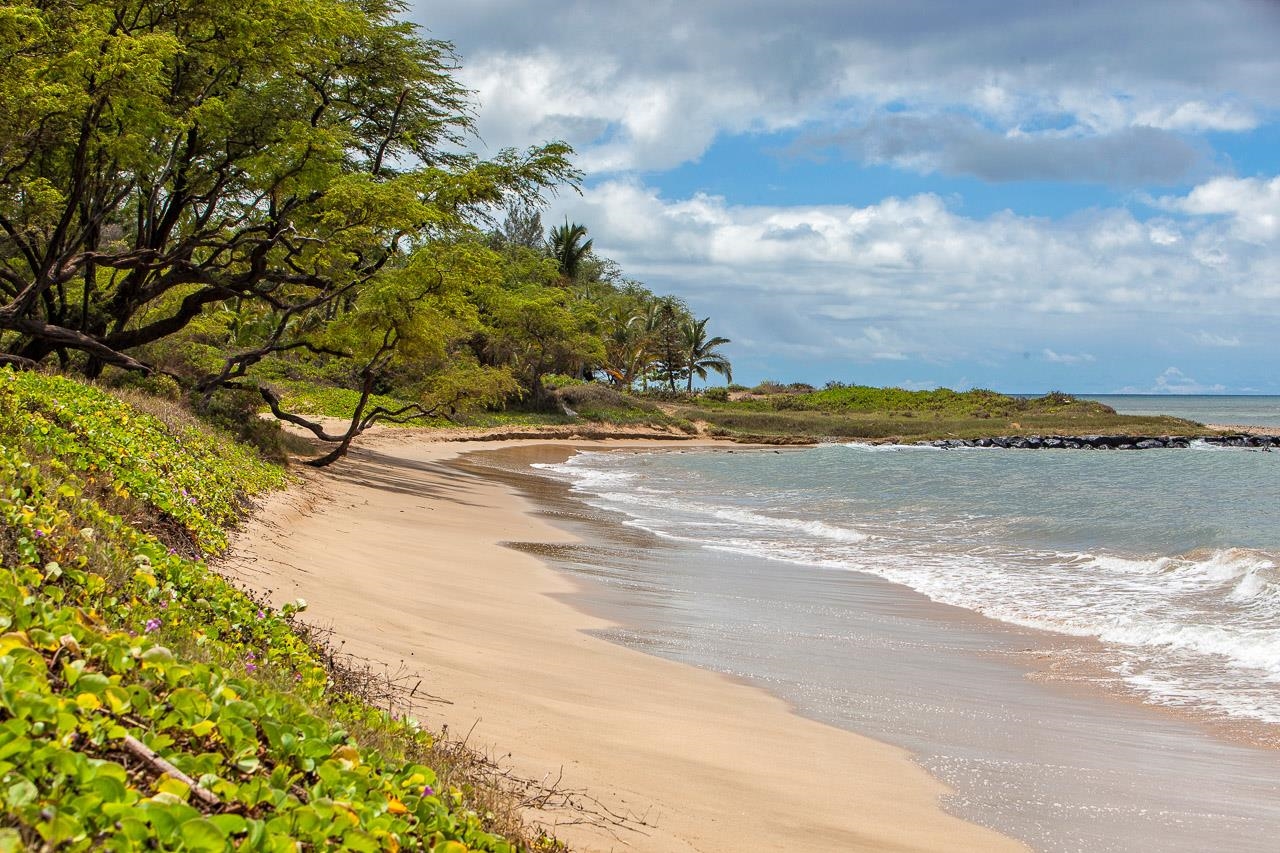 140 Uwapo Road, Unit 3201 Kihei, HI 96753 - Photo 32 of 49