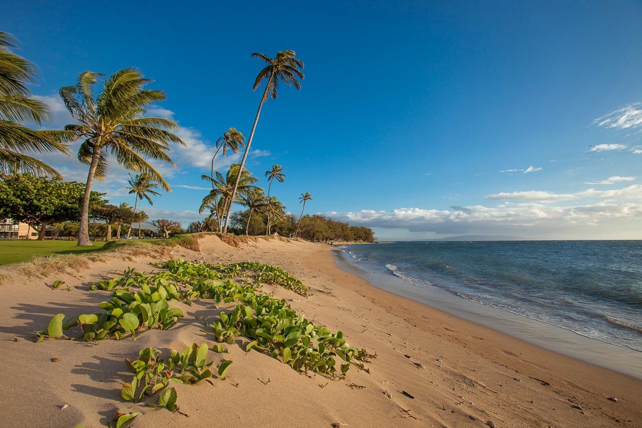 140 Uwapo Road, Unit 3201 Kihei, HI 96753 - Photo 35 of 49