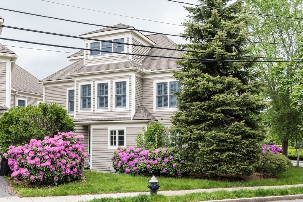 15 Meadowbrook Road, Unit 15 Brookline, MA 02467 - Photo 38 of 38 Gallery Image 38